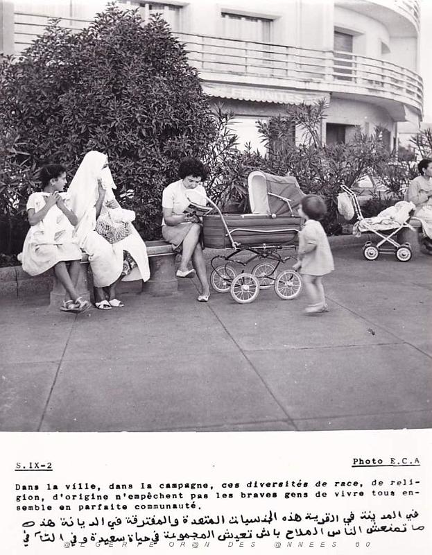 Algerie propagande 056.jpg